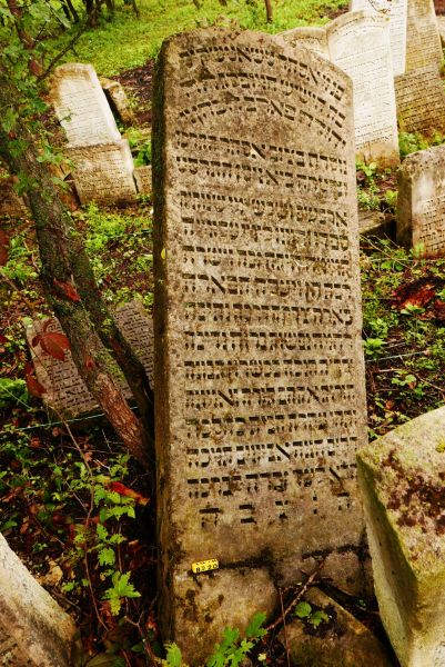 File:7.1-Agnon-4.jpg