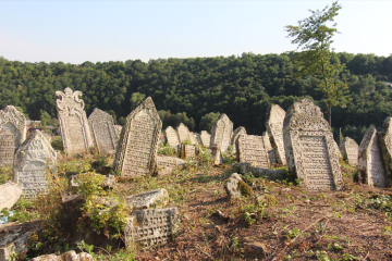 Jewish Tombstone Art in Galicia and Bukovina