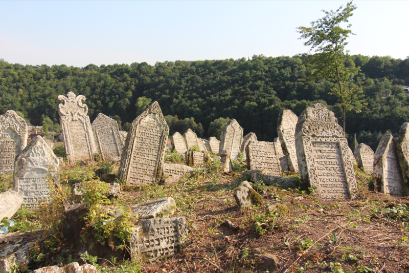 File:7.1-Agnon-11.png